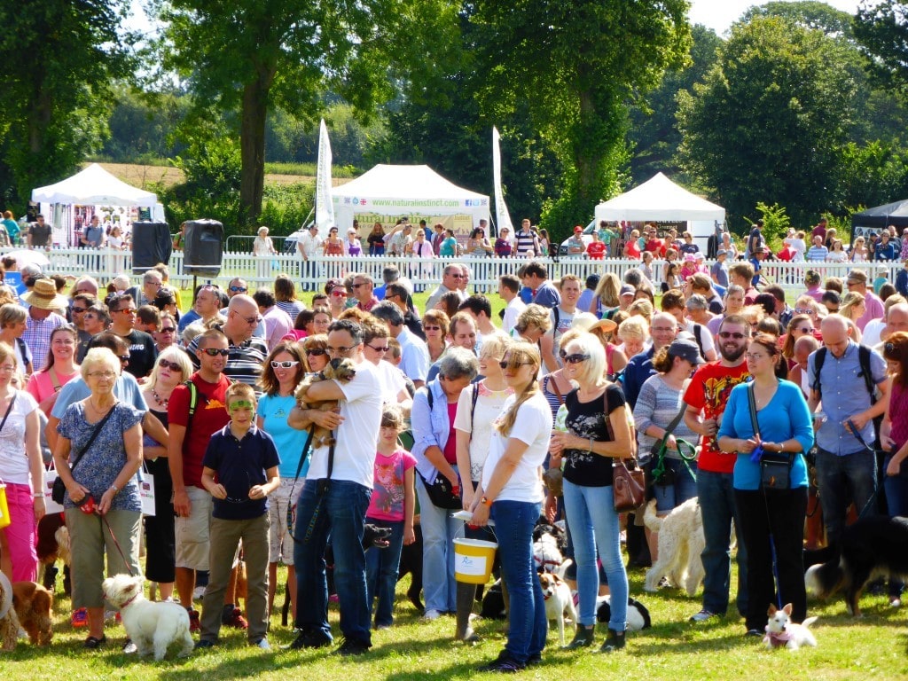 Dog Fest Windsor Park 2016